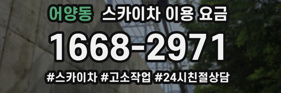 어양동 스카이차 이용 요금