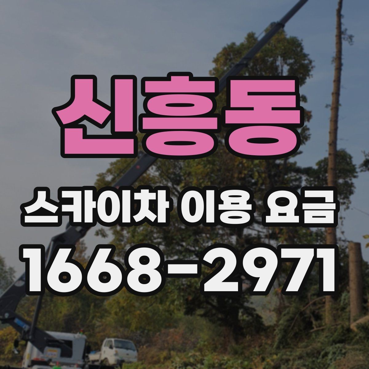 신흥동 스카이차 이용 요금 비교 전 확인해야 할 조건