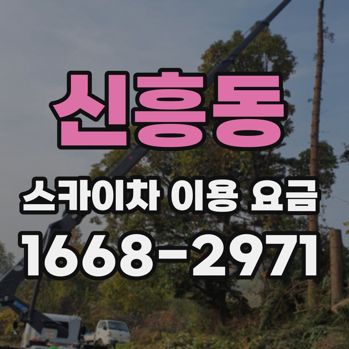 신흥동 스카이차 이용 요금