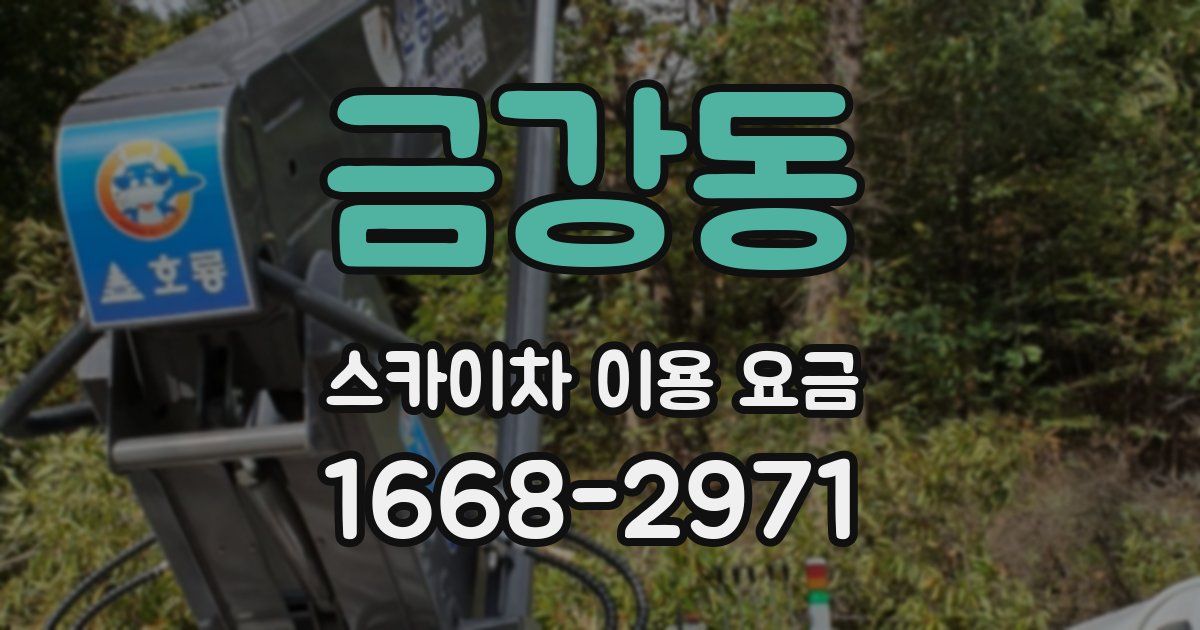 금강동 스카이차 이용 요금