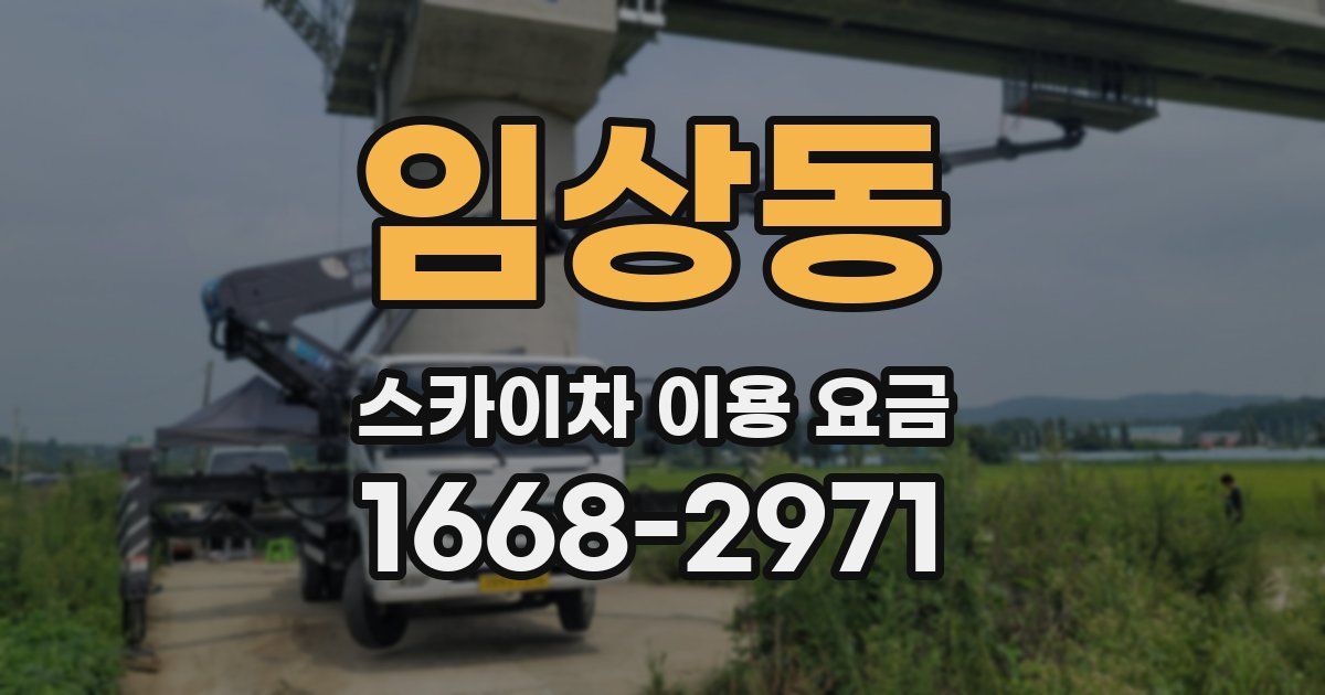 임상동 스카이차 이용 요금