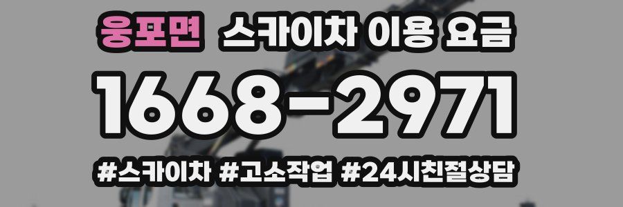 웅포면 스카이차 이용 요금