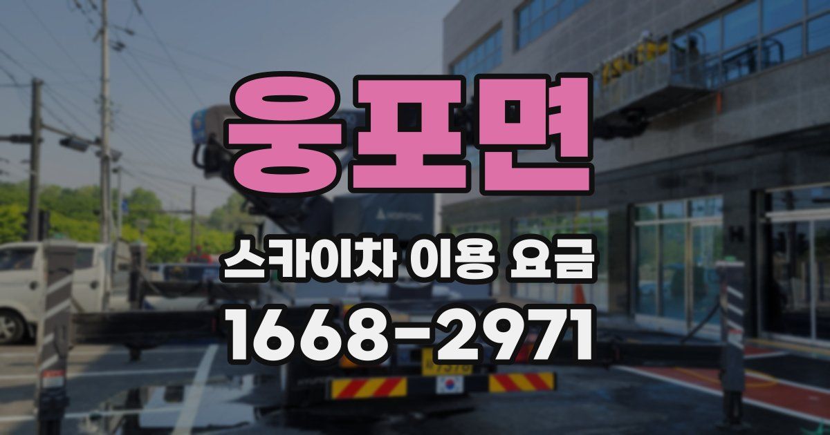 웅포면 스카이차 이용 요금