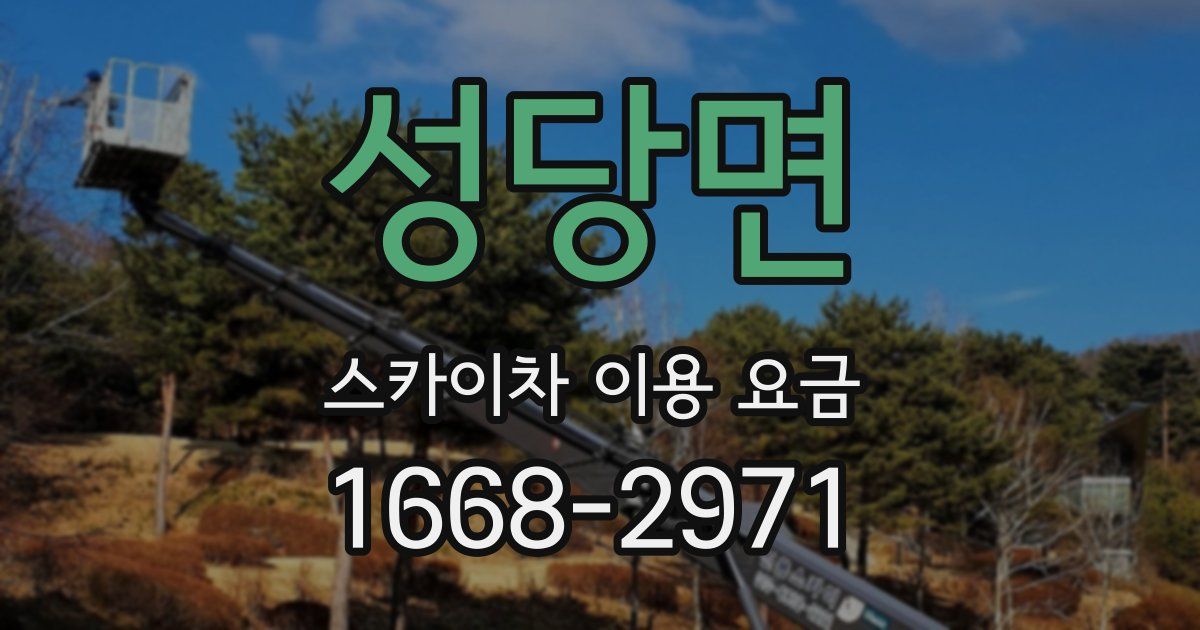 성당면 스카이차 이용 요금