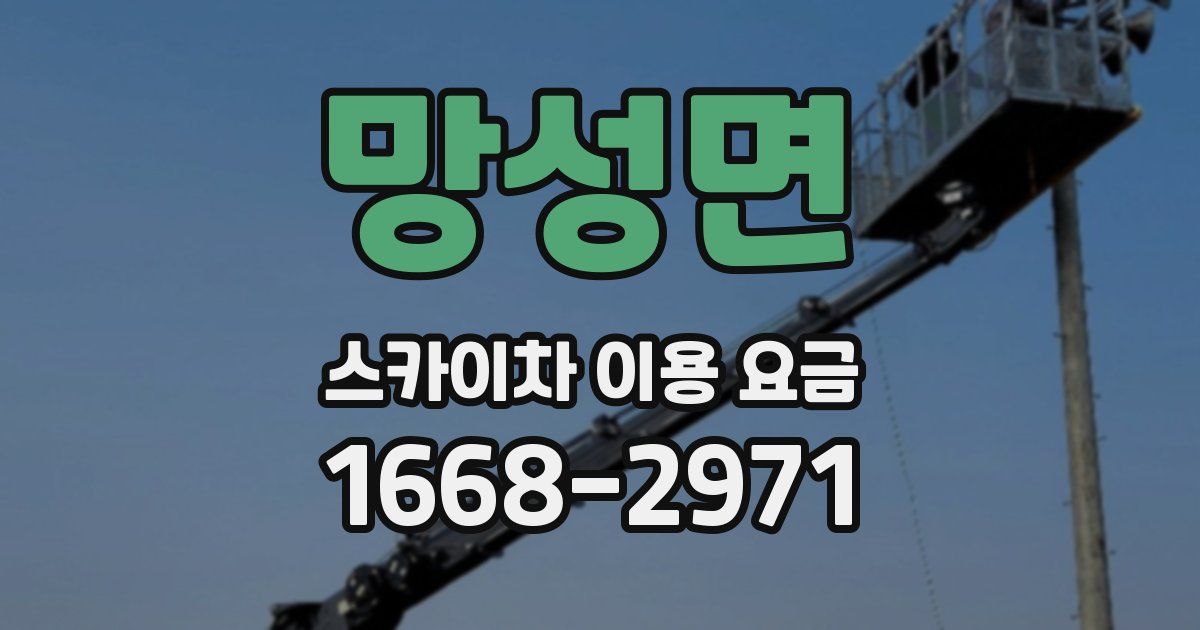 망성면 스카이차 이용 요금