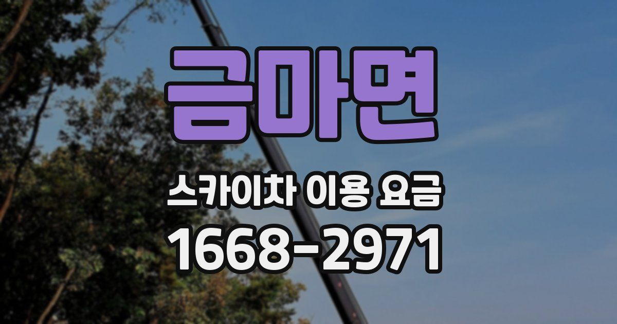 금마면 스카이차 이용 요금