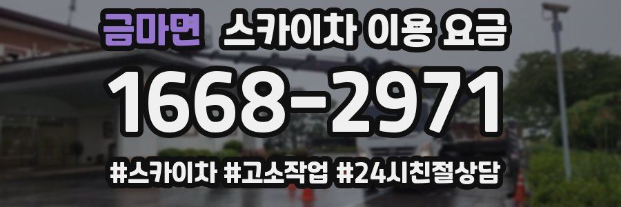금마면 스카이차 이용 요금
