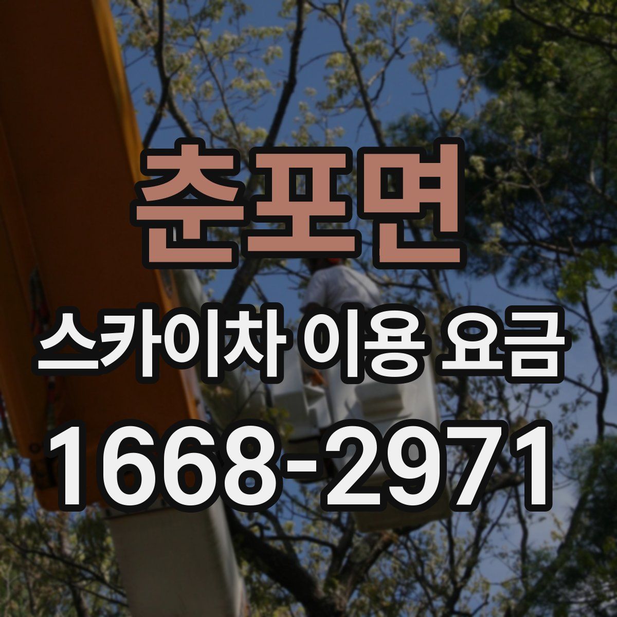 춘포면 스카이차 이용 요금