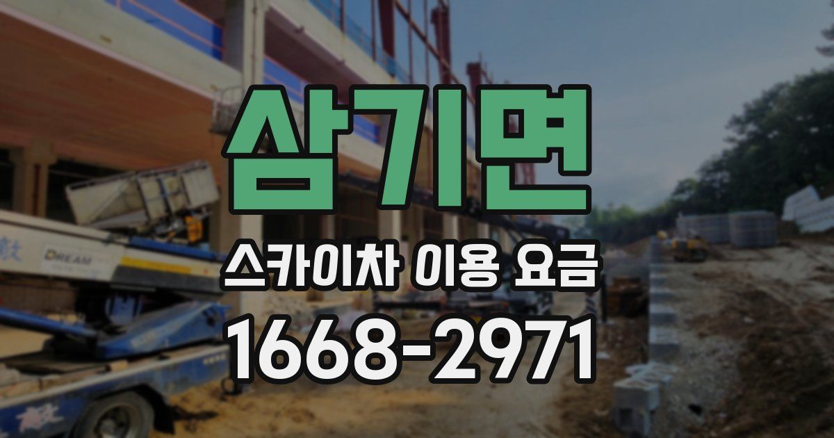 삼기면 스카이차 이용 요금