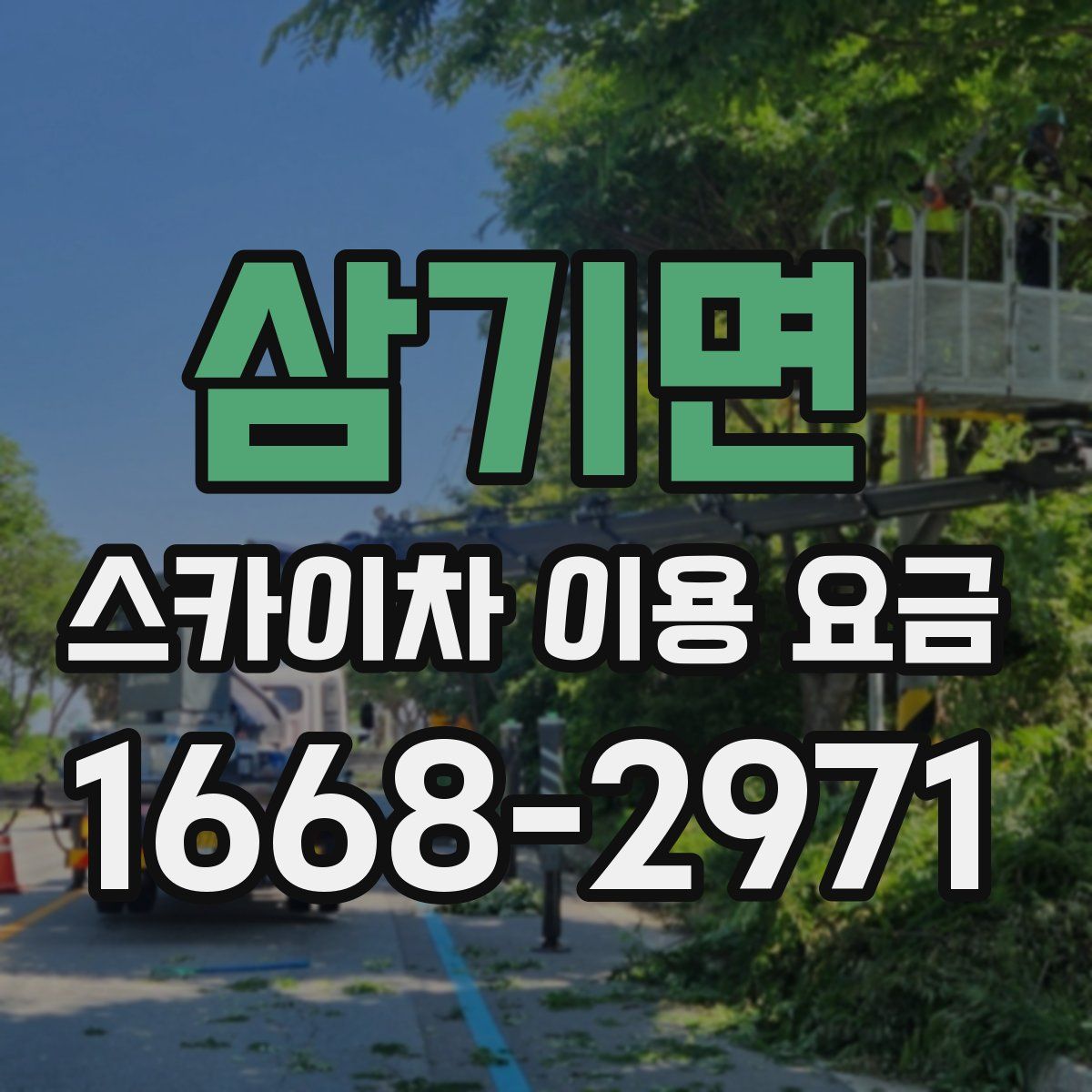 삼기면 스카이차 이용 요금