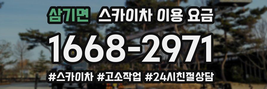 삼기면 스카이차 이용 요금