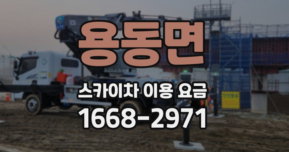 용동면 스카이차 이용 요금