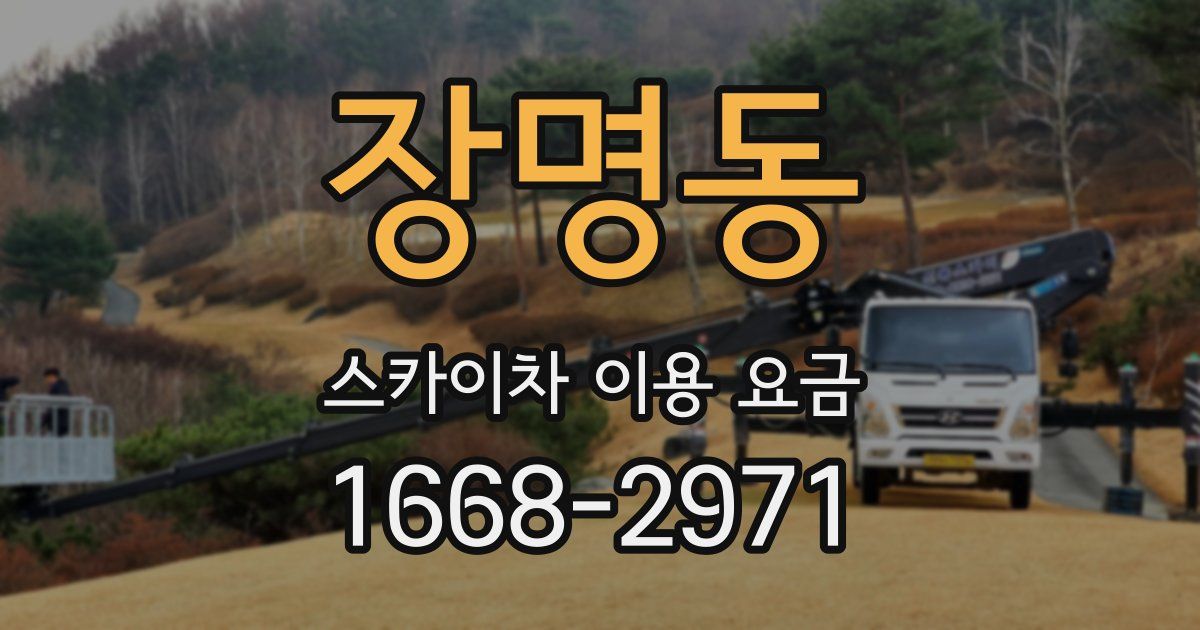 장명동 스카이차 이용 요금
