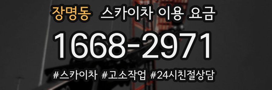 장명동 스카이차 이용 요금