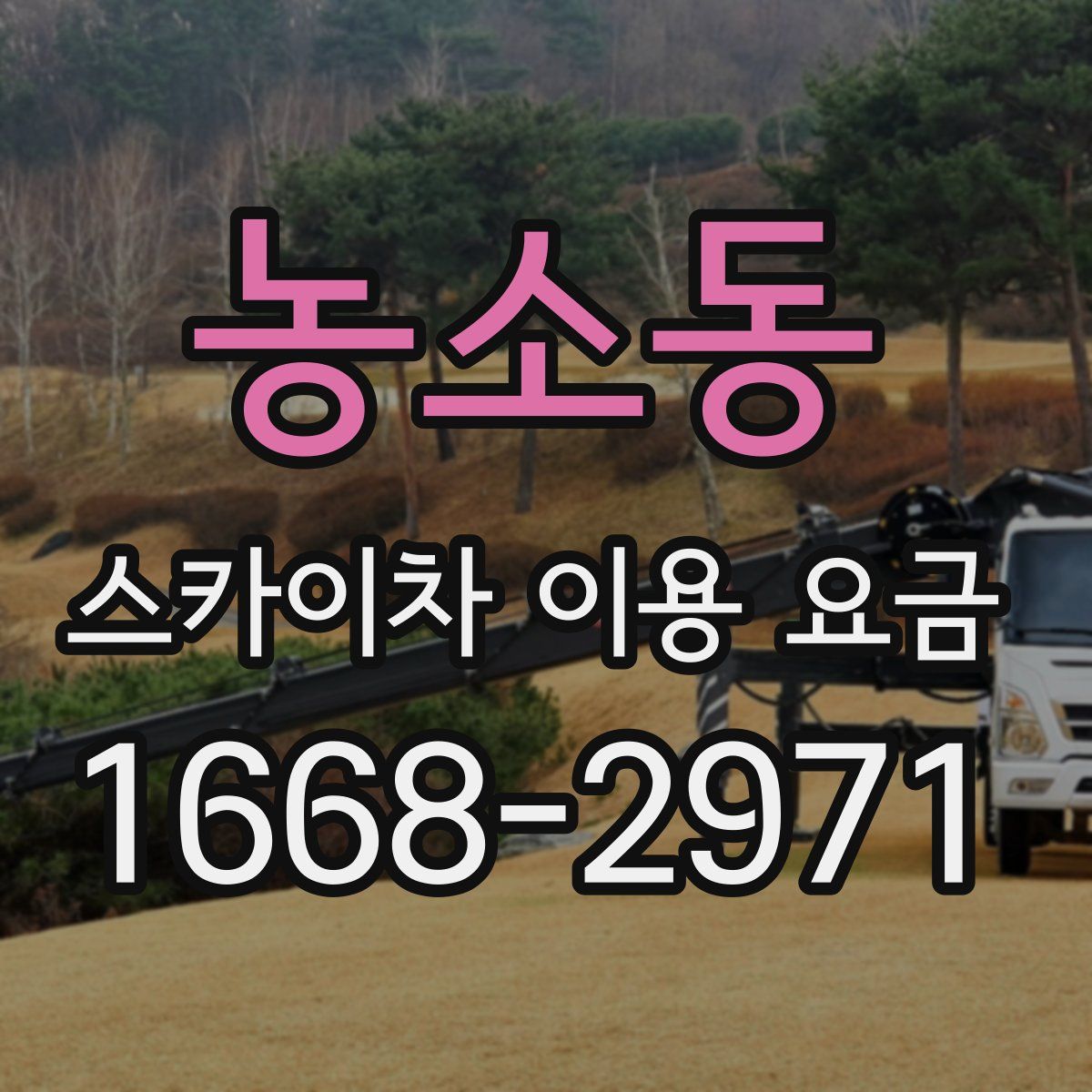 농소동 스카이차 이용 요금