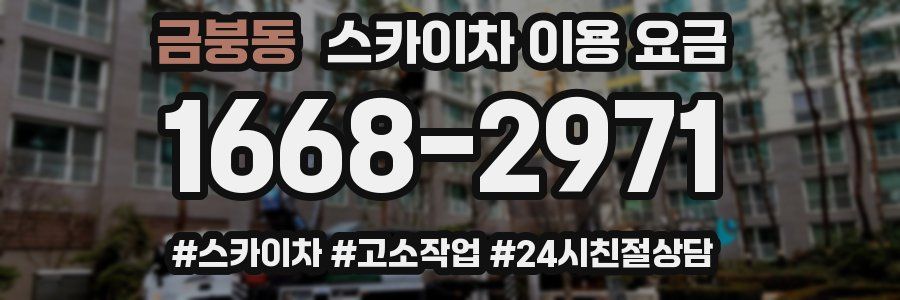 금붕동 스카이차 이용 요금