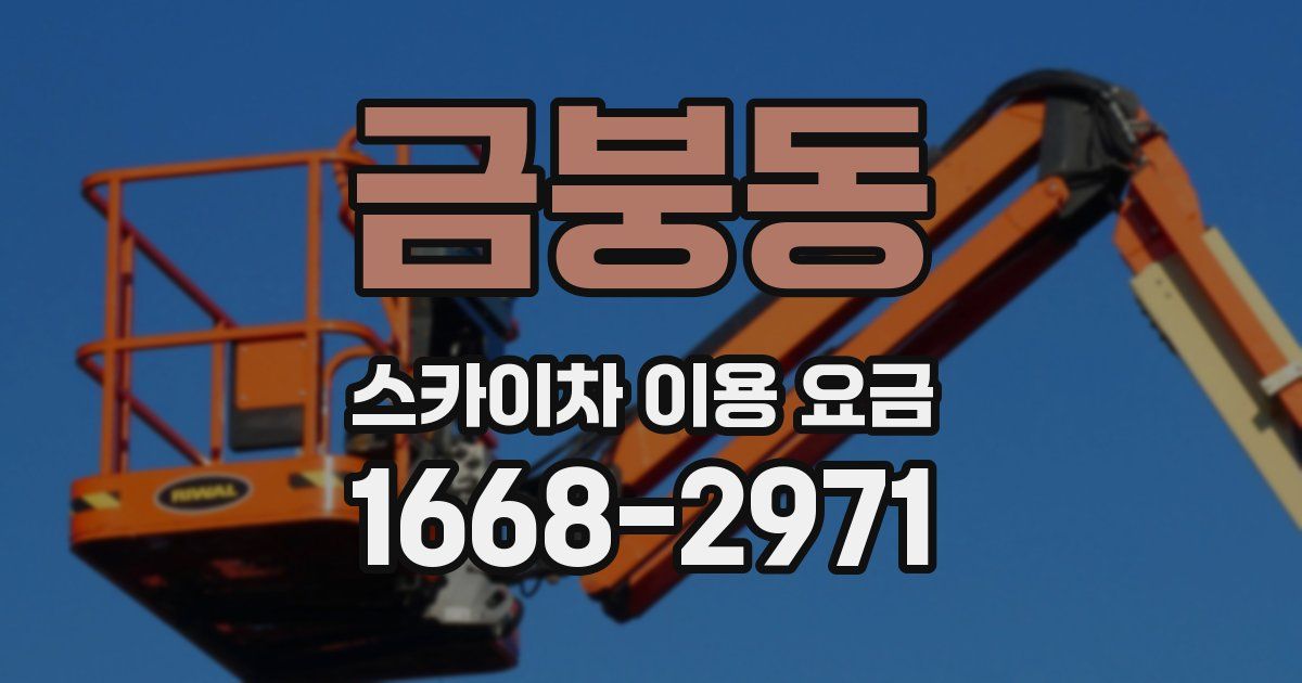 금붕동 스카이차 이용 요금