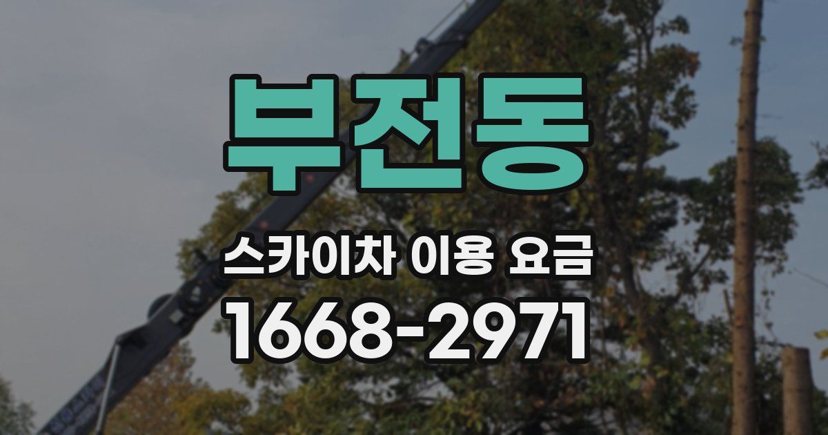 부전동 스카이차 이용 요금