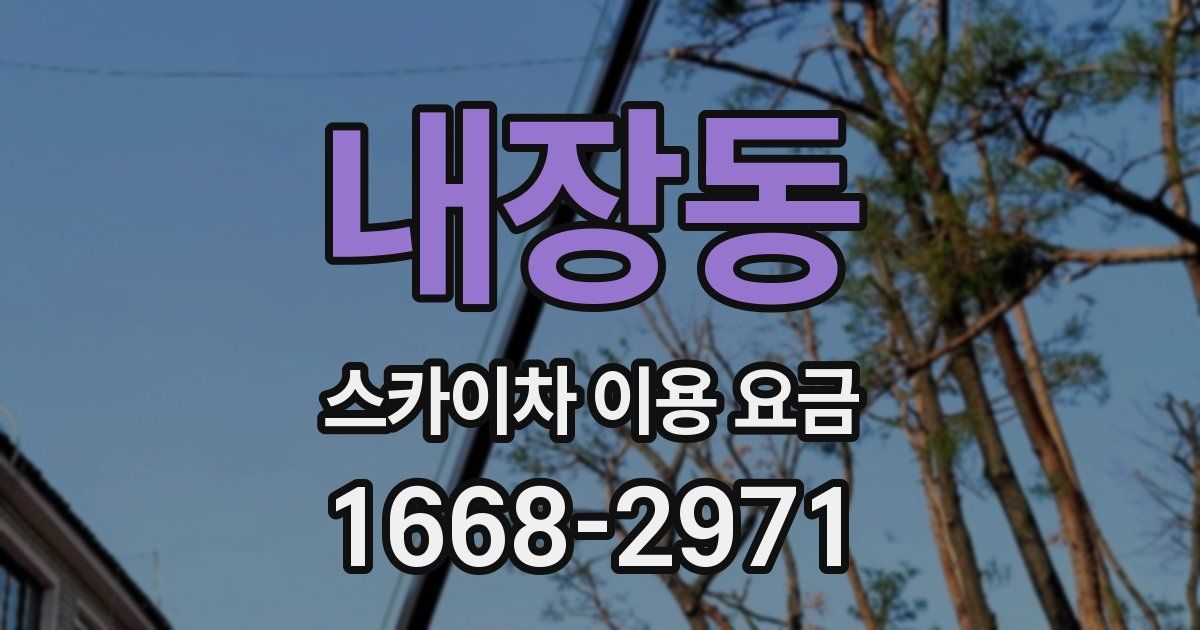 내장동 스카이차 이용 요금