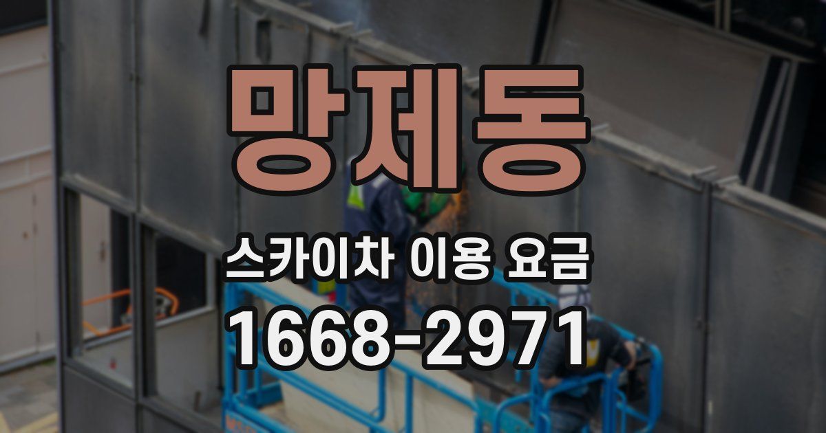망제동 스카이차 이용 요금