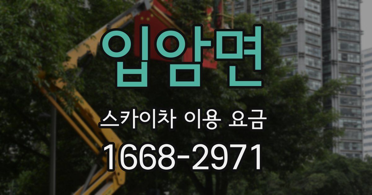 입암면 스카이차 이용 요금