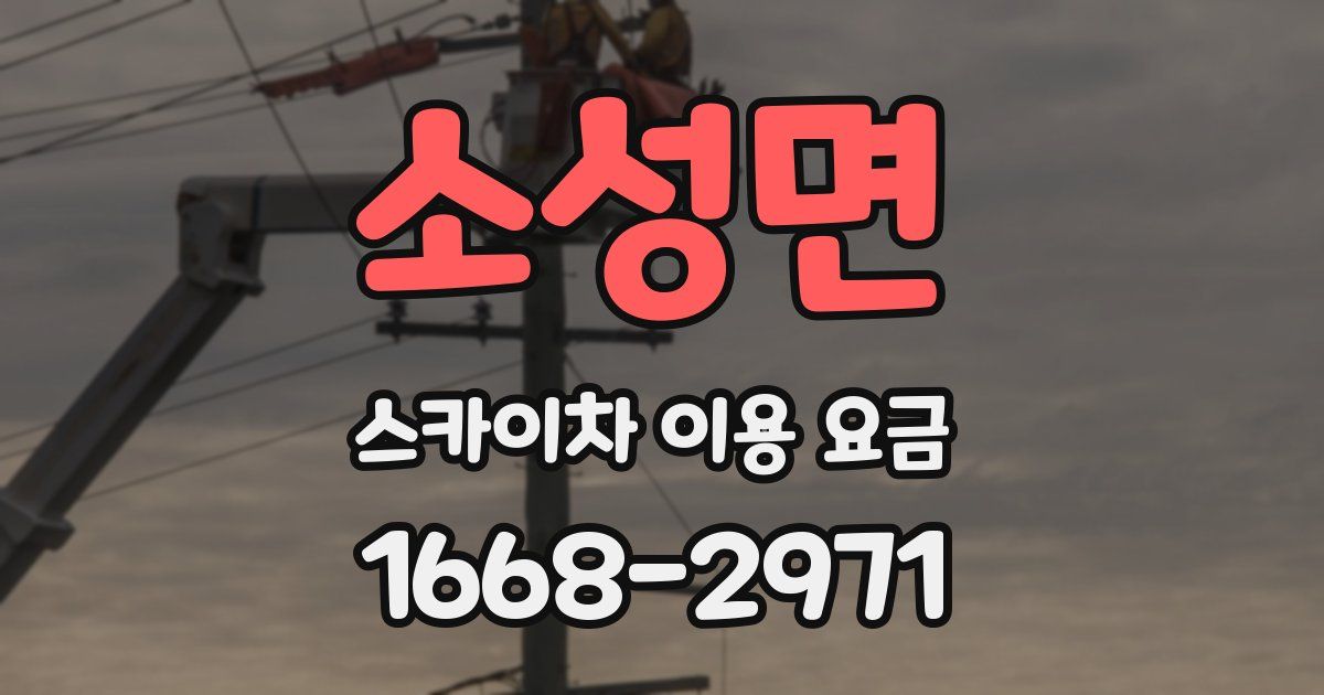 소성면 스카이차 이용 요금