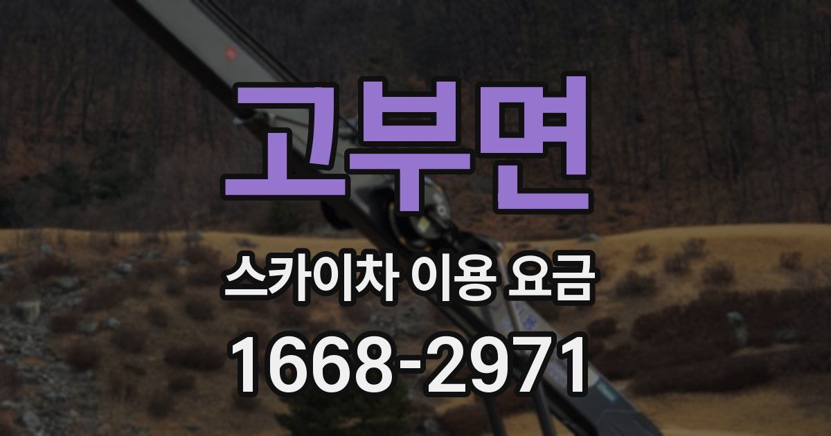 고부면 스카이차 이용 요금