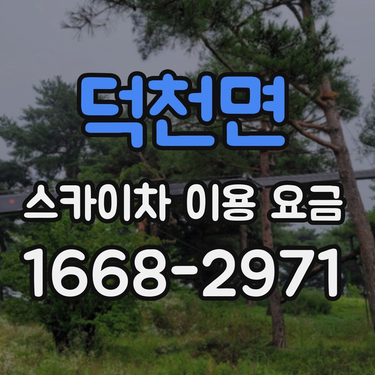 덕천면 스카이차 이용 요금 비교에서 주목할 조건