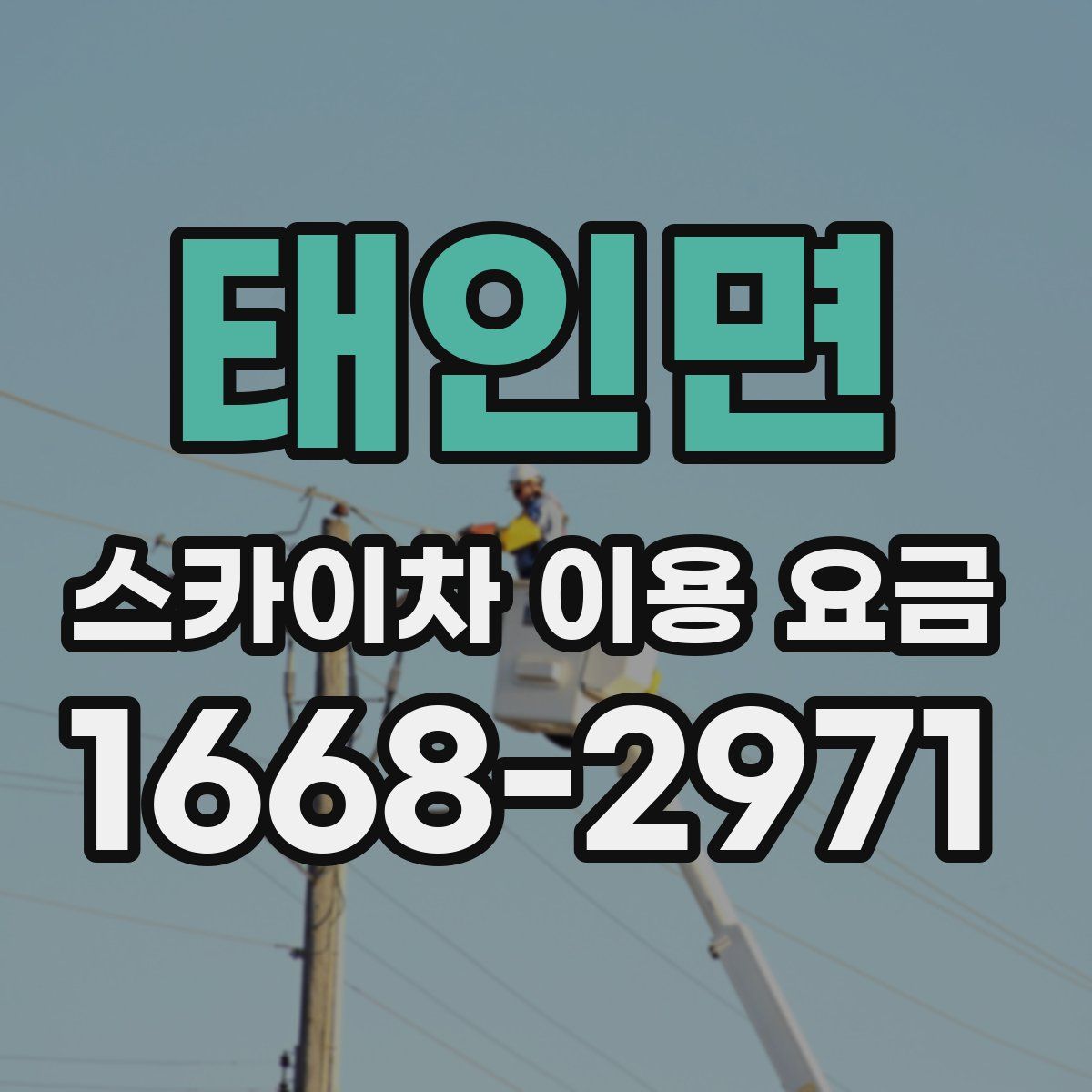 태인면 스카이차 이용 요금