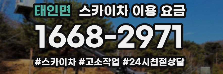 태인면 스카이차 이용 요금