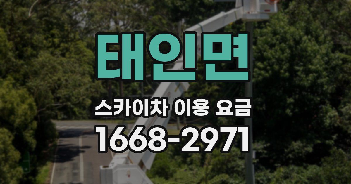 태인면 스카이차 이용 요금