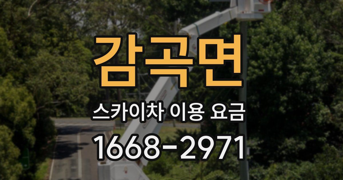 감곡면 스카이차 이용 요금