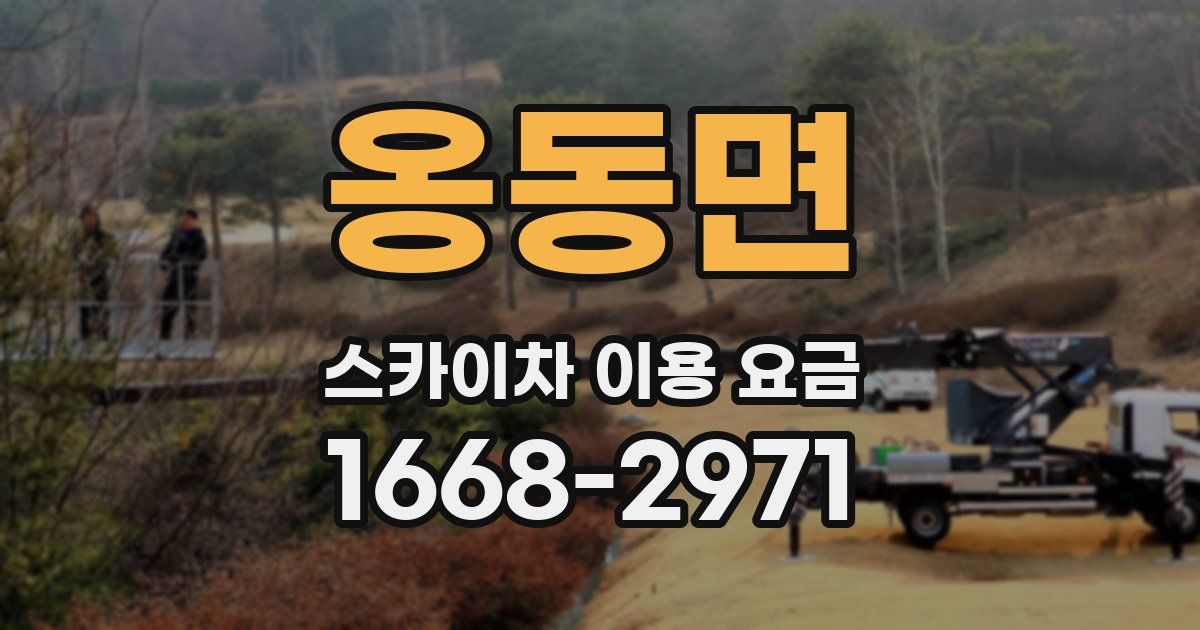 옹동면 스카이차 이용 요금