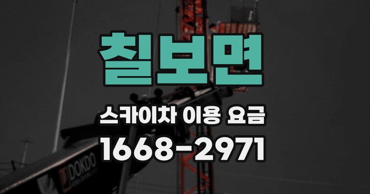칠보면 스카이차 이용 요금
