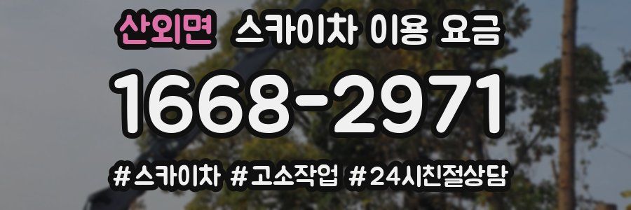 산외면 스카이차 이용 요금