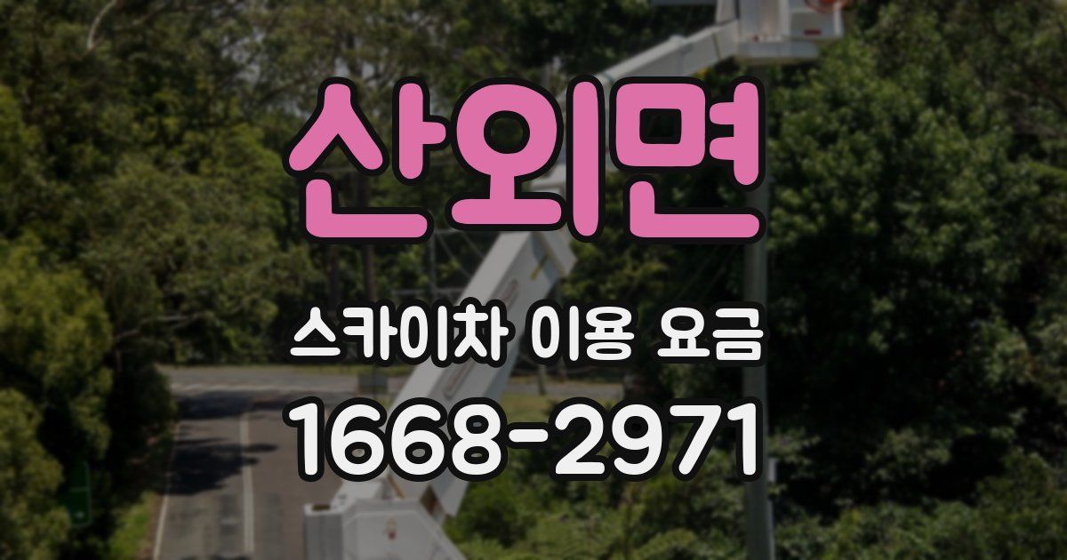 산외면 스카이차 이용 요금