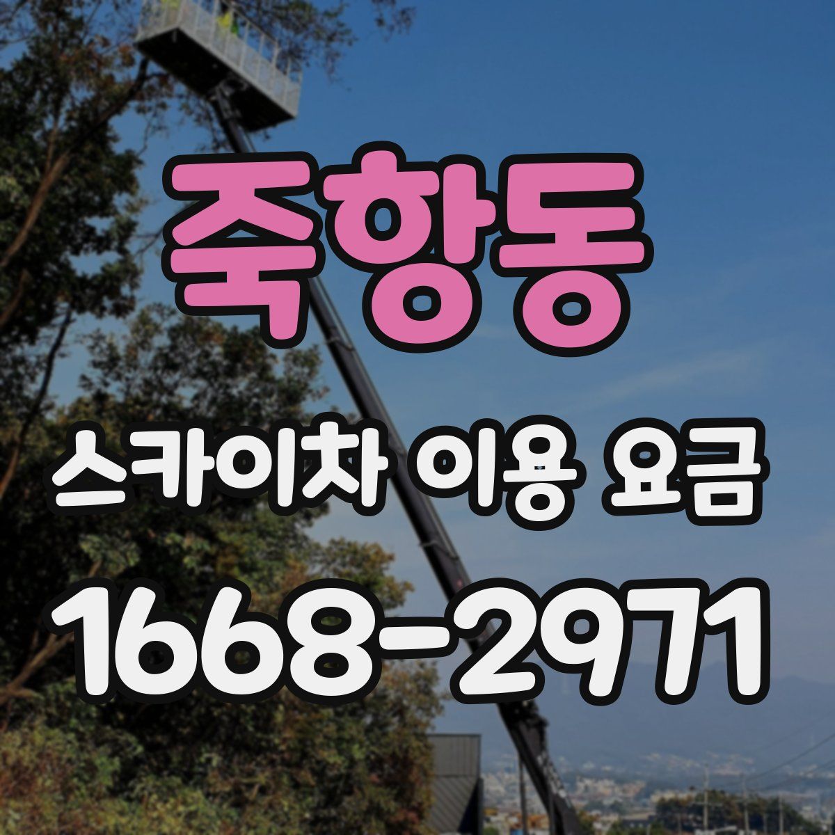 죽항동 스카이차 이용 요금