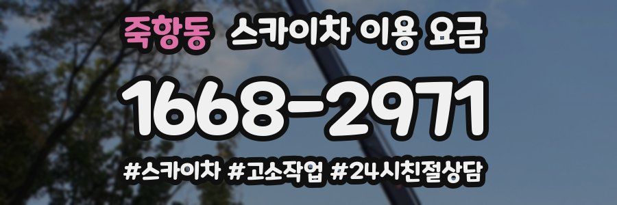 죽항동 스카이차 이용 요금