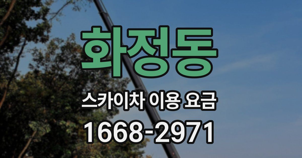 화정동 스카이차 이용 요금
