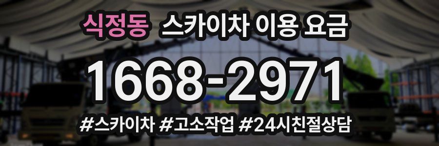 식정동 스카이차 이용 요금