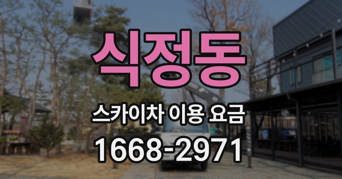 식정동 스카이차 이용 요금