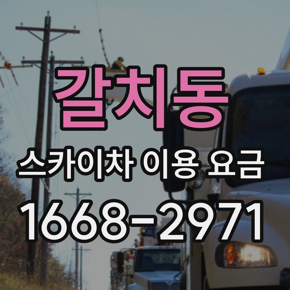 갈치동 스카이차 이용 요금 알아볼 때 확인할 기준
