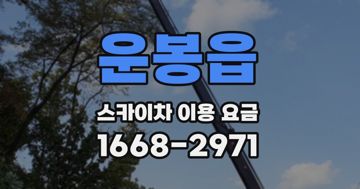 운봉읍 스카이차 이용 요금