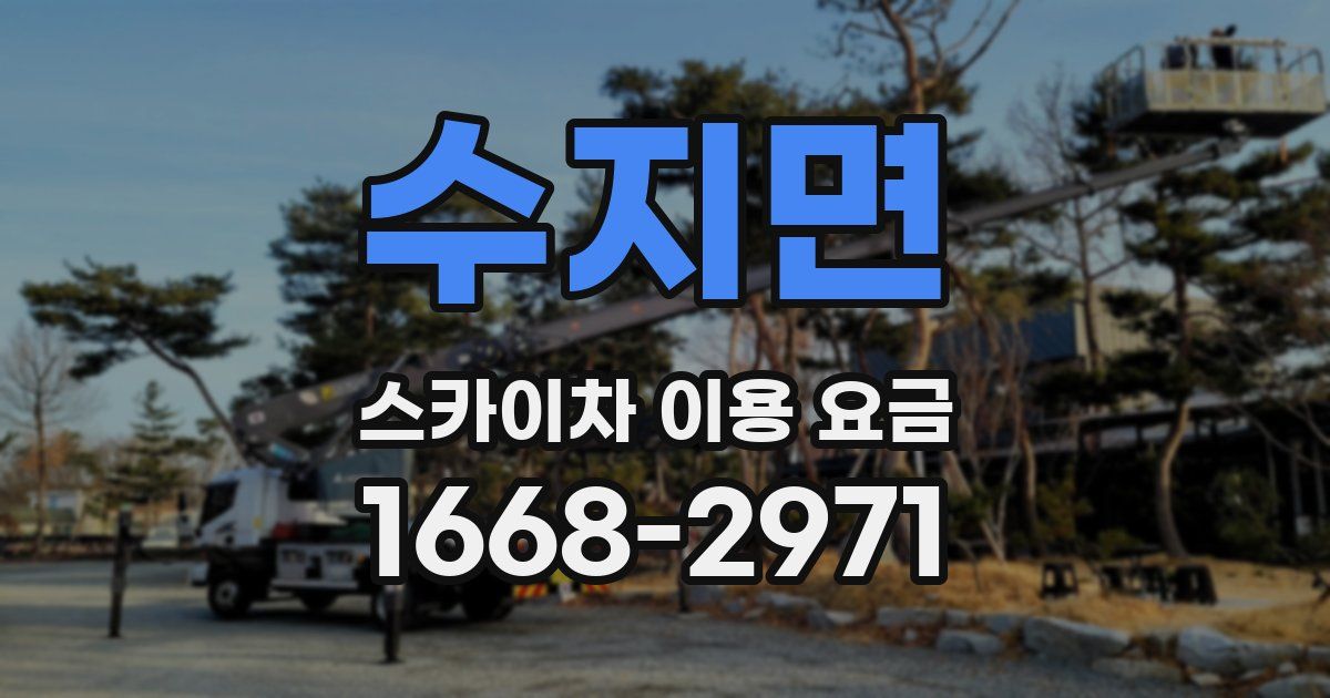 수지면 스카이차 이용 요금