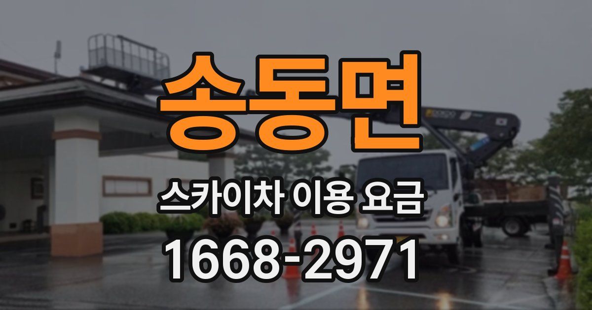 송동면 스카이차 이용 요금