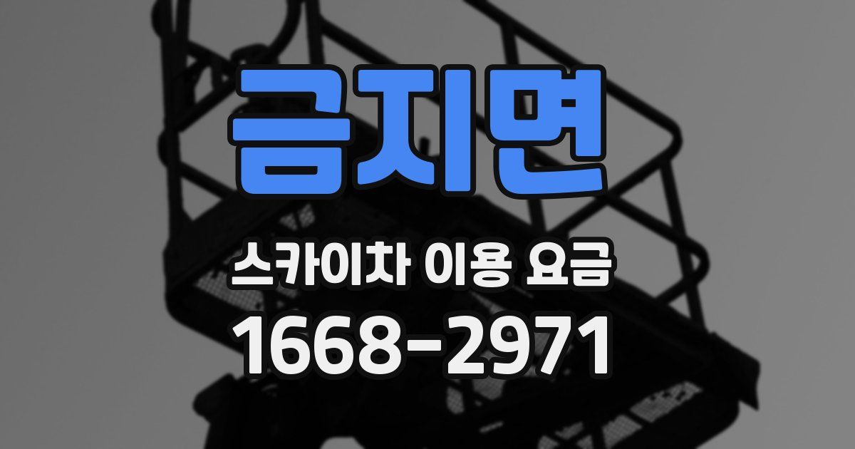 금지면 스카이차 이용 요금