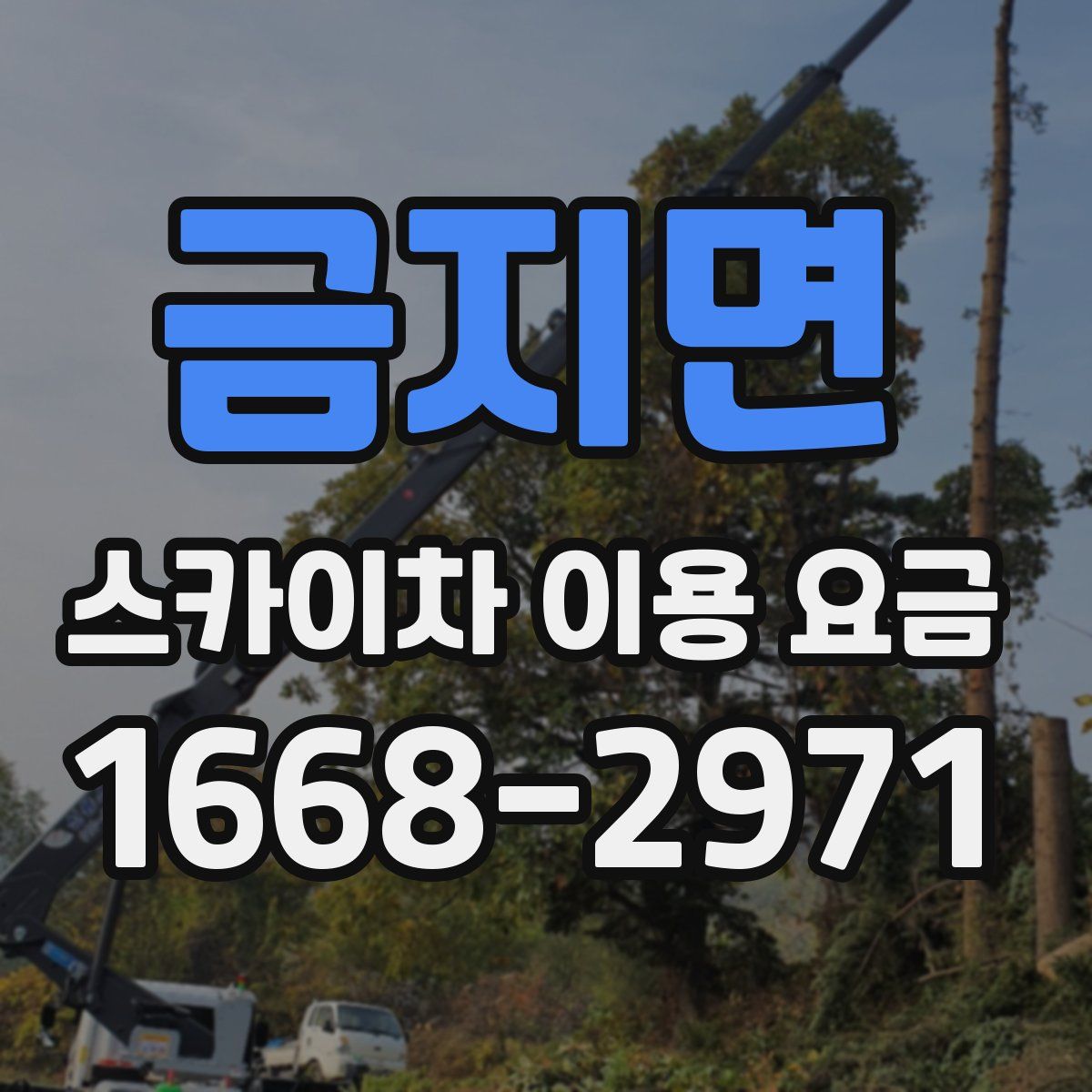 금지면 스카이차 이용 요금
