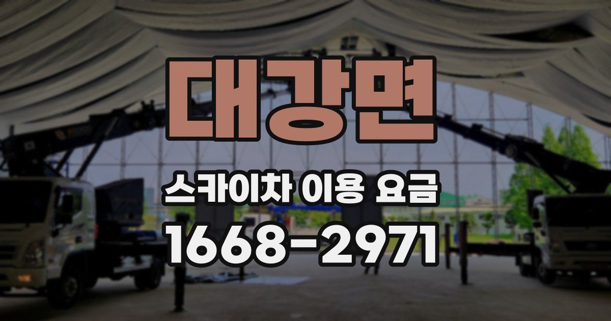 대강면 스카이차 이용 요금