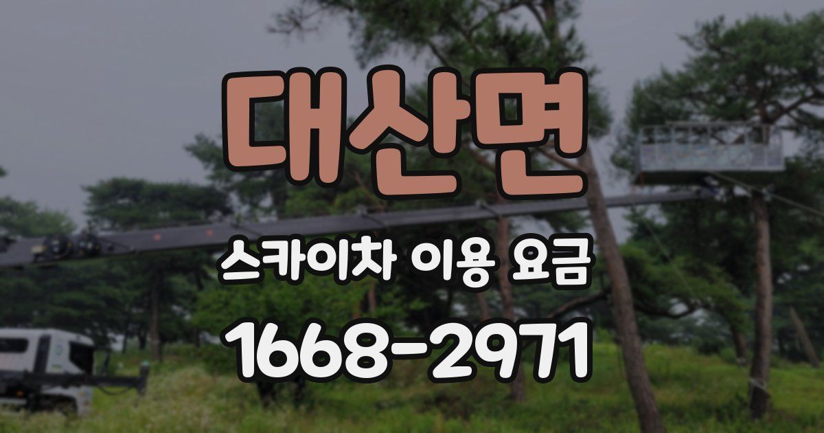 대산면 스카이차 이용 요금