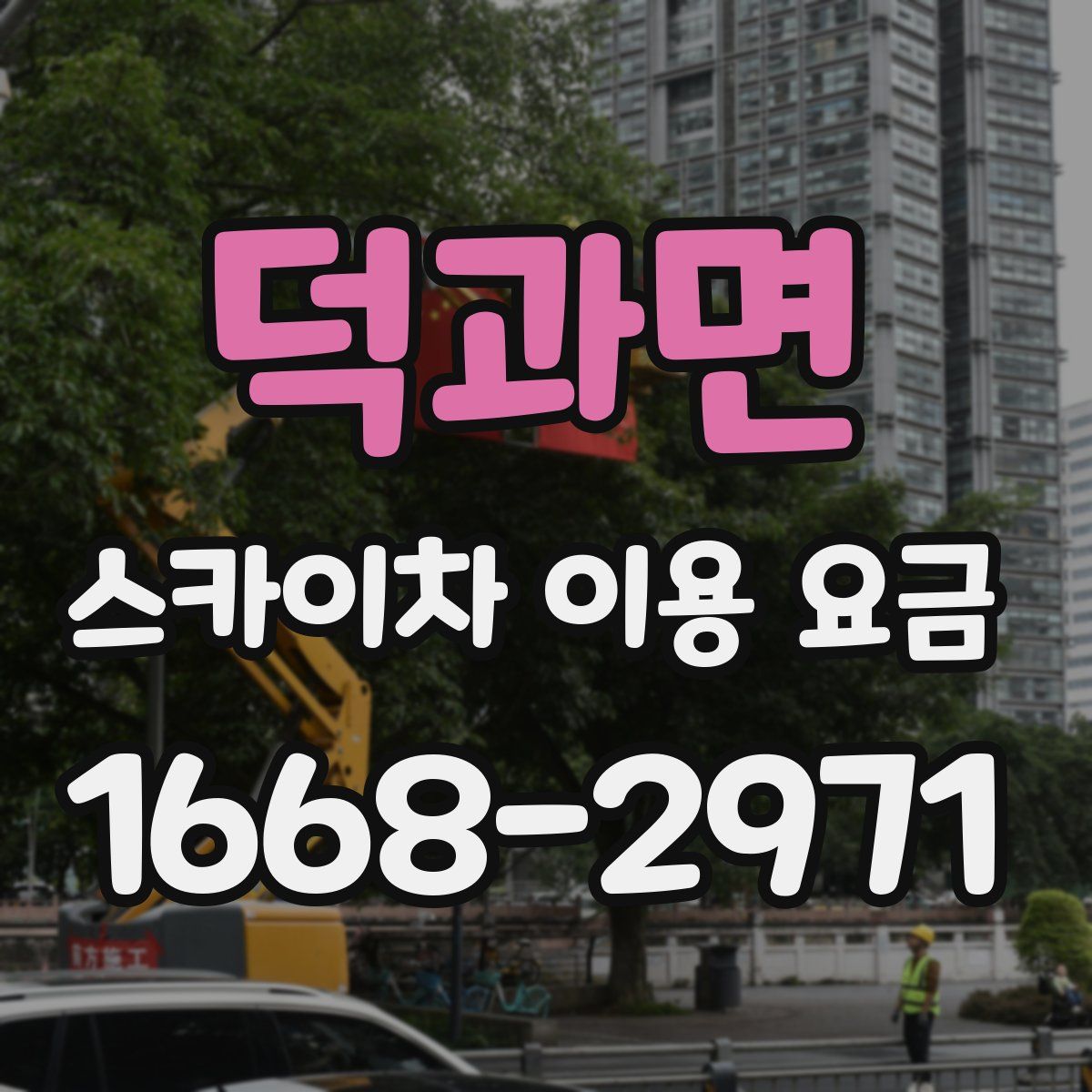 덕과면 스카이차 이용 요금